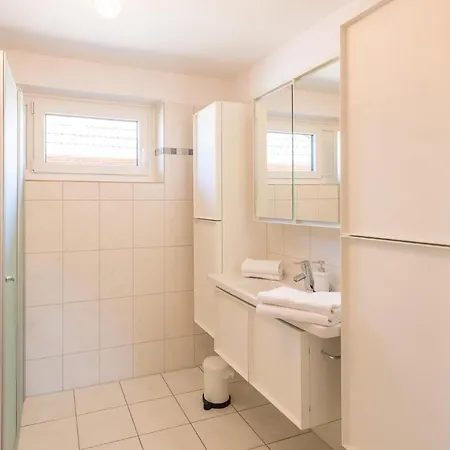 Schobueller Austernfischer