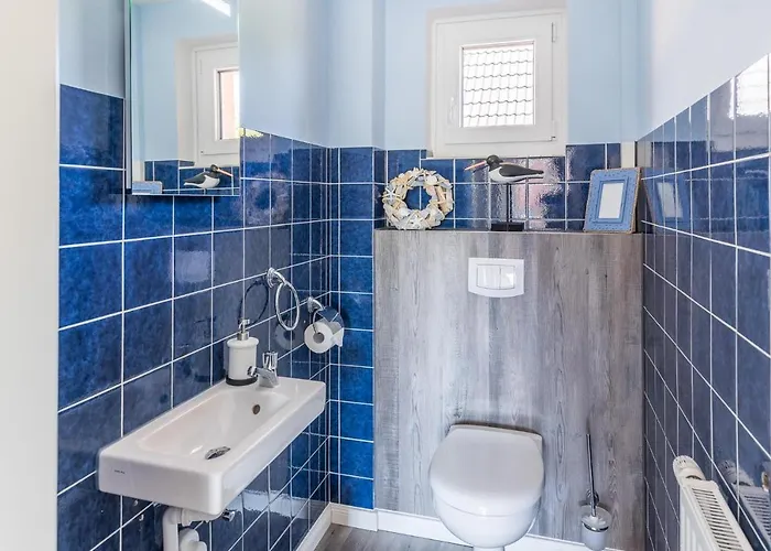 Schobueller Austernfischer *